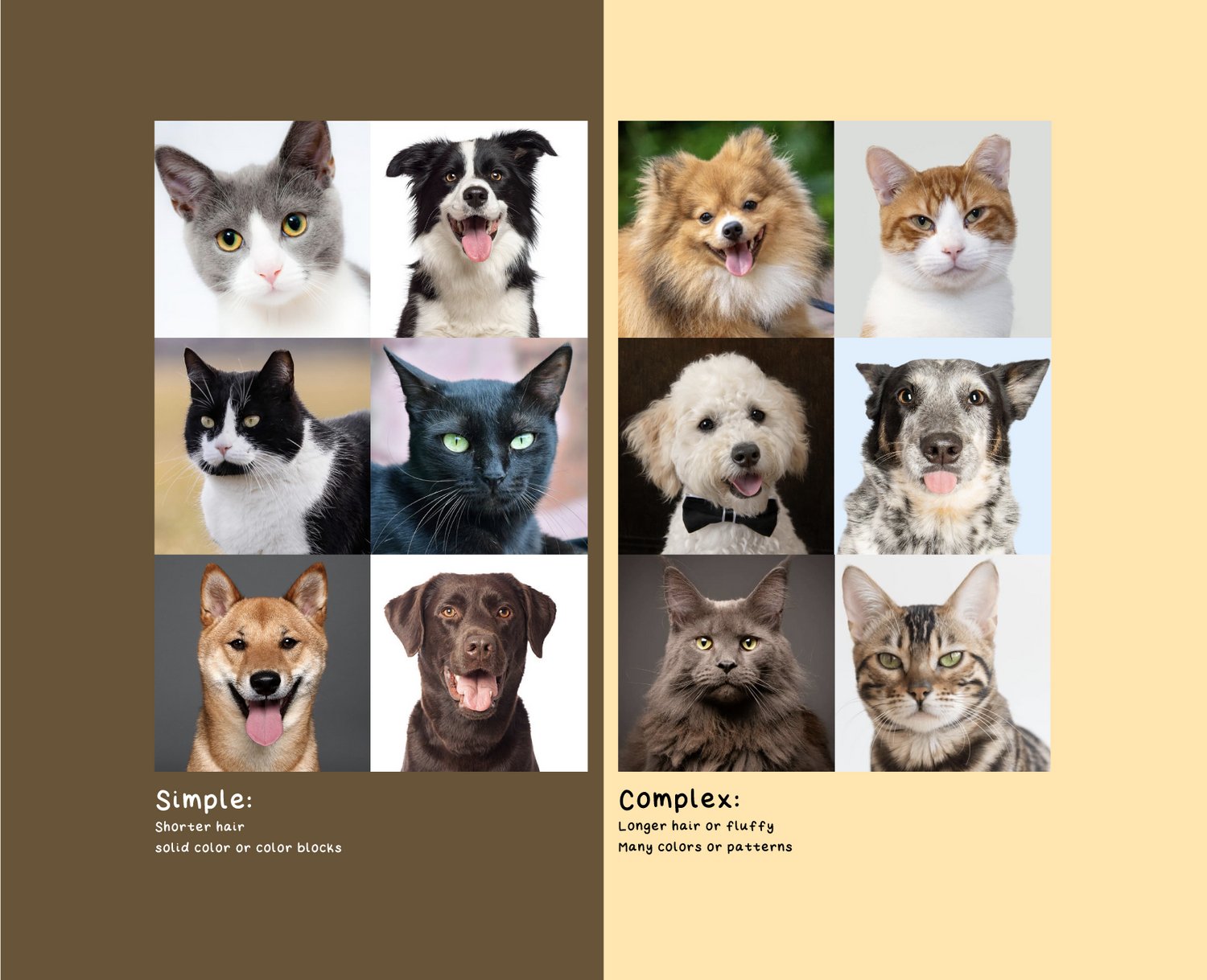 Comparison chart of dogs and cats with 'Simple' and 'Complex' hair characteristics on a brown and beige background.