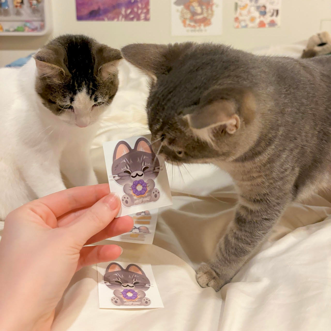 Two cats looking at a hand holding stickers with cat designs against a colorful wall.